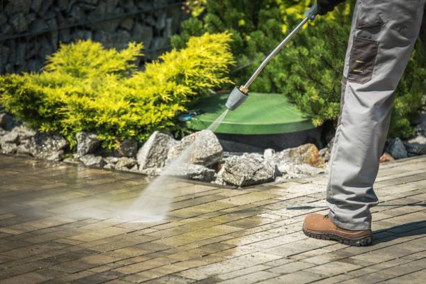 Best Animal Enclosure Cleaning  in Edgewood, MD