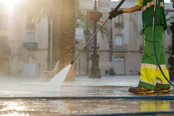 Best Driveway Pressure Washing  in Edgewood, MD